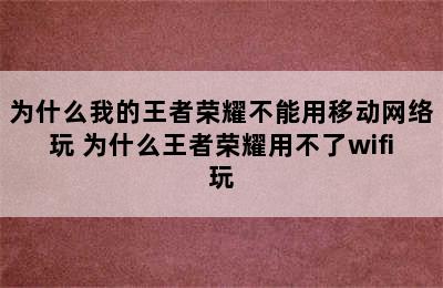 为什么我的王者荣耀不能用移动网络玩 为什么王者荣耀用不了wifi玩